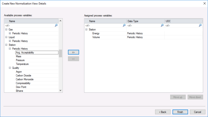Create New Normalization View: Details